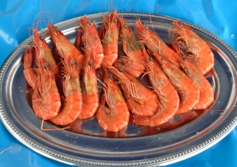 Vente crevettes roses Madagascar