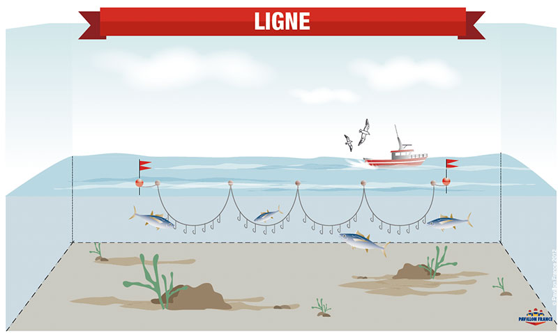 peche à la ligne